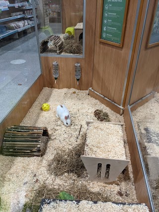 Pets at Home Romford