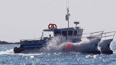 Mourne Sea Tours