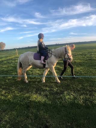 Holymoor Riding School