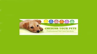 Cherish your Pets - Dog Walking and Pet Sitting Service.