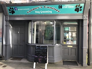 Cooper’s Canines Dog Grooming