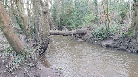 Roath Park Wild Gardens