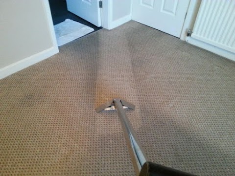 Trusted Carpet Cleaning