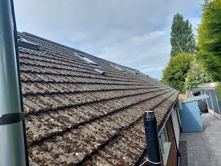 Tip Top Exteriors - Roof Cleaning & Moss Removal