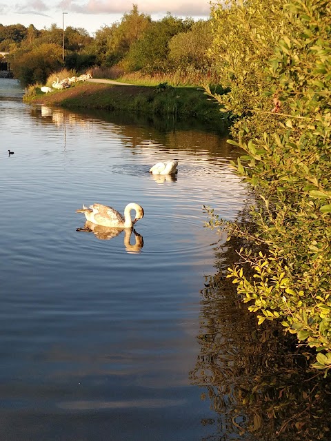 Springfield Dam and Park