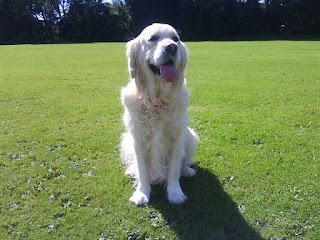 Southport Dogwalker