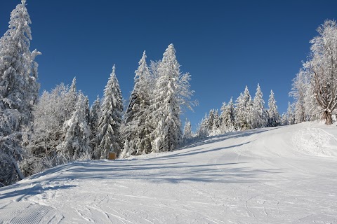 Плай