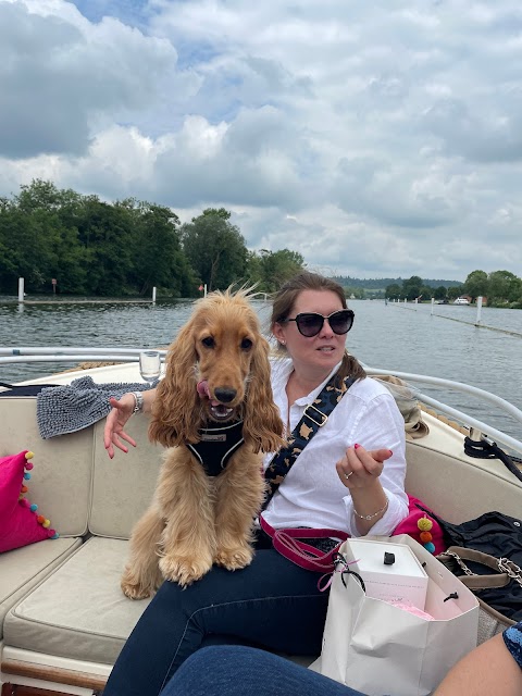 Henley River Boats