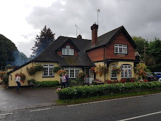 The Hinton Arms