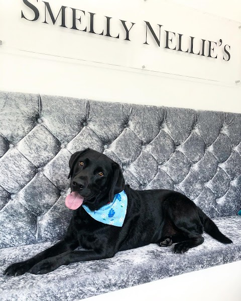 Smelly Nellie's Dog Grooming Boutique