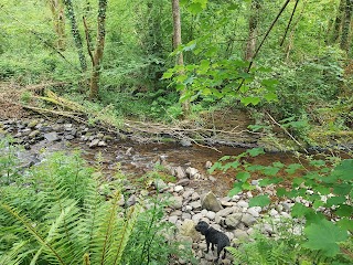 RSPB Cwm Clydach