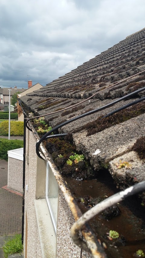 Edinburgh Gutter Cleaning Company