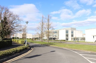 Dundalk Institute of Technology