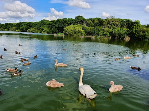 The Fishers Pond