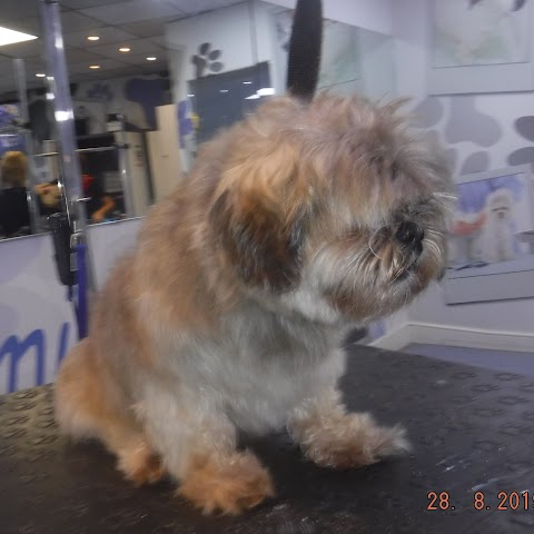 Orrell Pooch Parlour