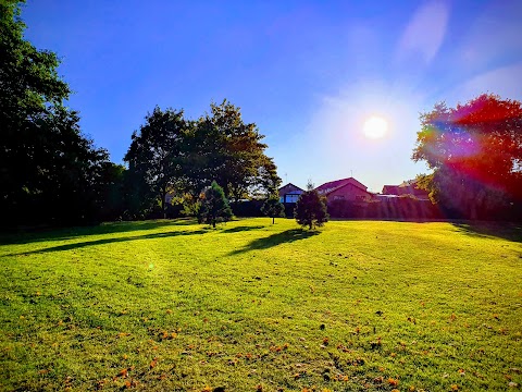 Woodstock play area