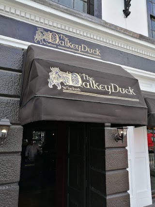 The Dalkey Duck