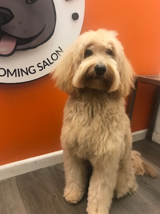 OH MY DOG Grooming Salon