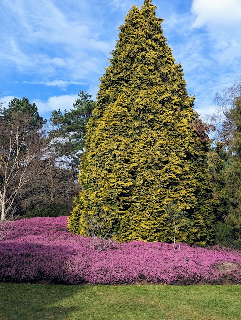 The Valley Gardens