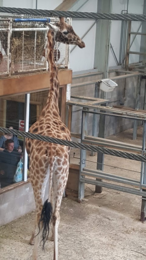 Blackpool Zoo Playbarn