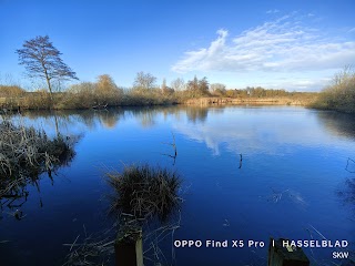 Tophill Low Nature Reserve