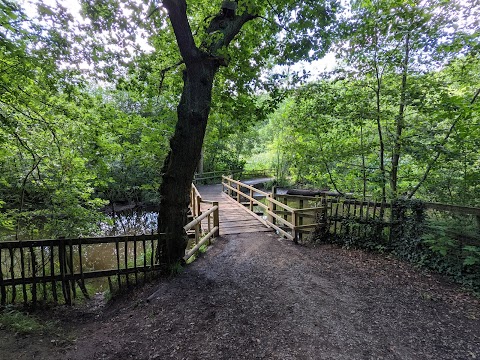 Brotherton Park and Dibbinsdale Local Nature Reserve