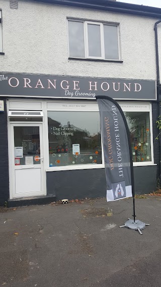 The Orange Hound