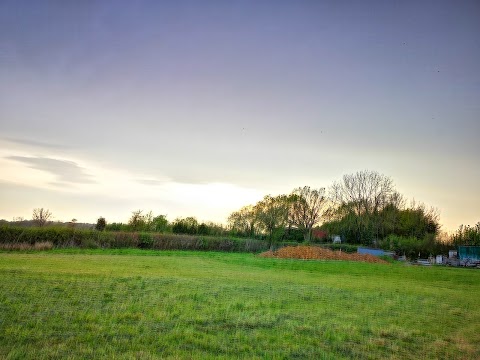 The Daisy Paddock