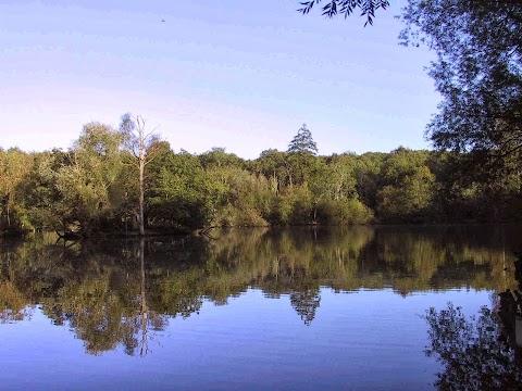 Brokerswood Holiday Park