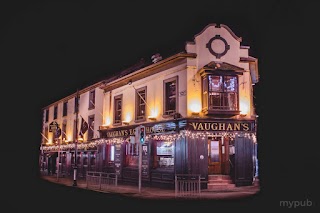 Vaughan's Eagle House, Terenure