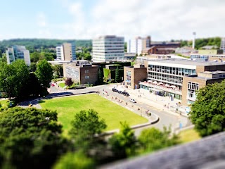 Swansea Uni International