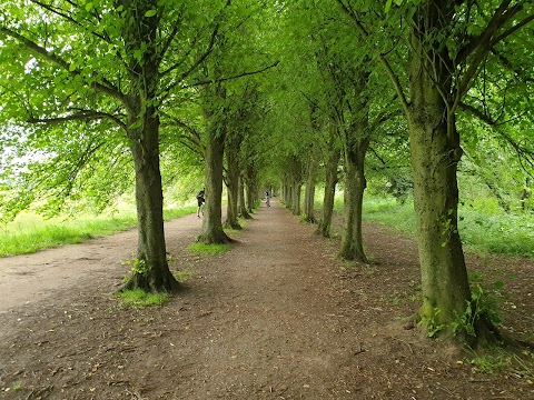 Coate Water Country Park