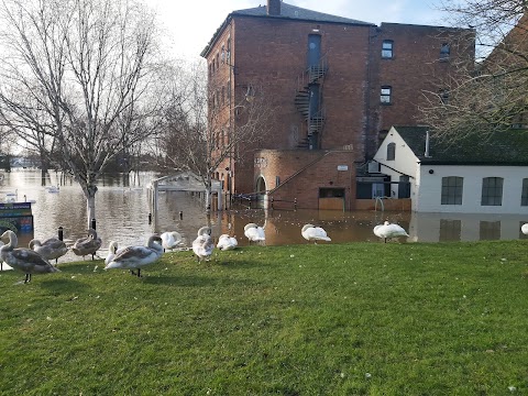 Browns at the Quay