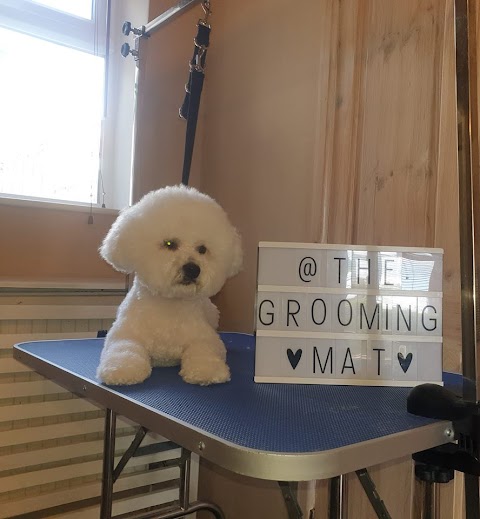 The Grooming Mat