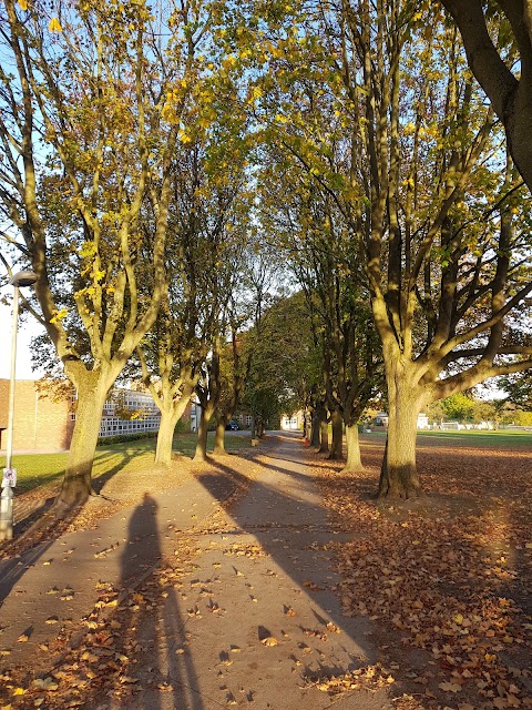 Mapledene Primary School