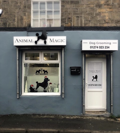 Animal Magic Dog Grooming Ltd.