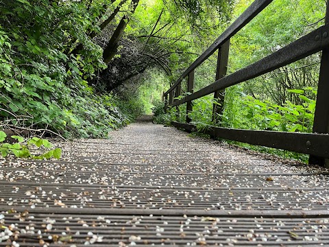 Plantsbrook Local Nature Reserve