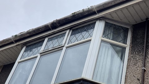 Shine Window & Gutter Cleaning