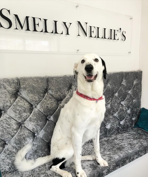 Smelly Nellie's Dog Grooming Boutique