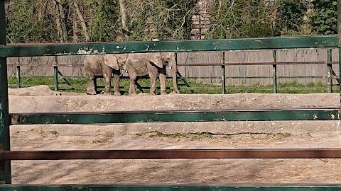 Hangleton Park Children's Centre