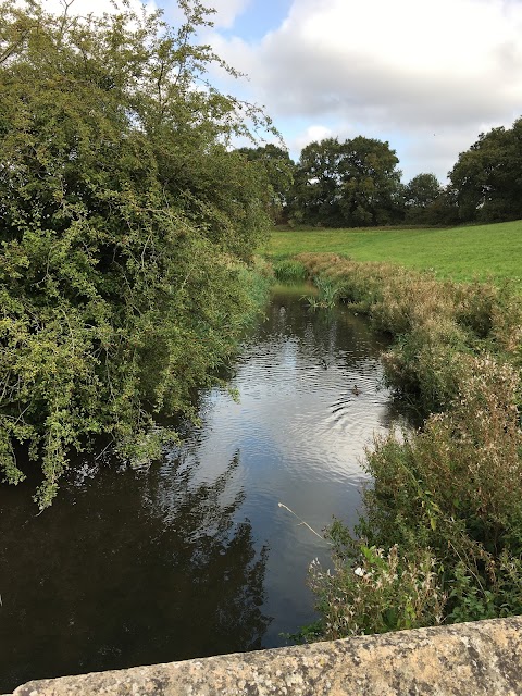 Cuckney Water Meadows