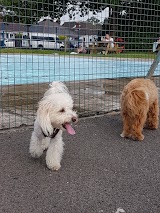 Testwood Paddling Pool