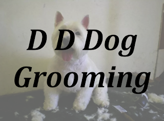 D D Dog Grooming