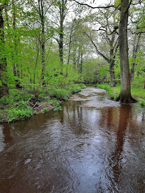 Blashford Lakes Nature Reserve