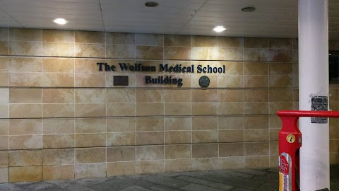 Wolfson Medical School