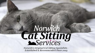 Norwich Cat Sitting Services - Norwich’s original cat sitting specialists