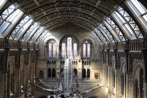 Natural History Museum