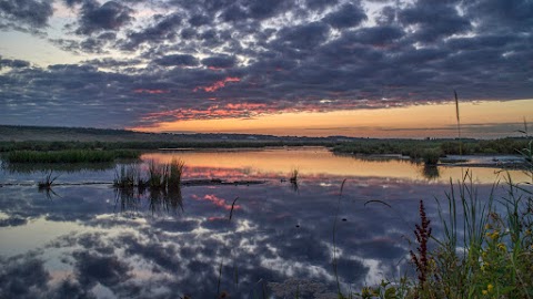 RSPB St Aidan's