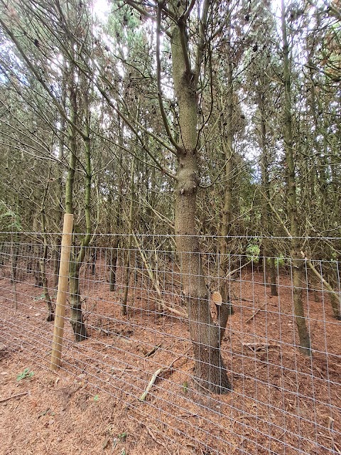 Dee Dog Park at Church Farm