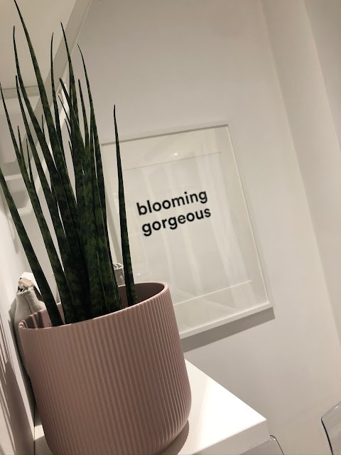 Bloom Beauty Therapy